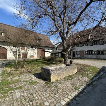 Veräußerung denkmalgeschützter Gebäude in Bermatingen