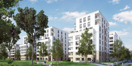 Der Mainwald in Frankfurt