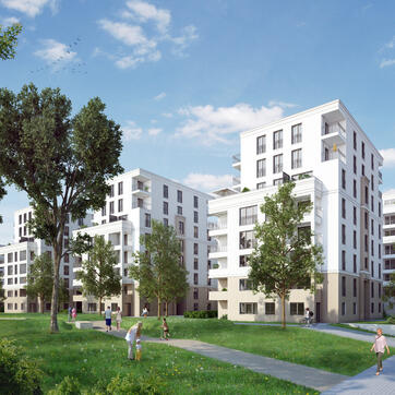 Der Mainwald in Frankfurt