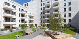 Rebstockhöfe in Frankfurt