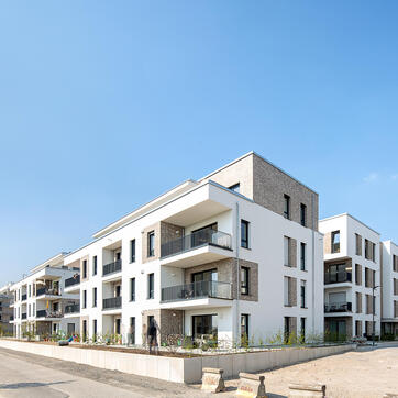 Das Urban Element in Heidelberg