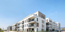 Das Urban Element in Heidelberg