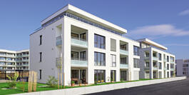 Urban Green in Heidelberg