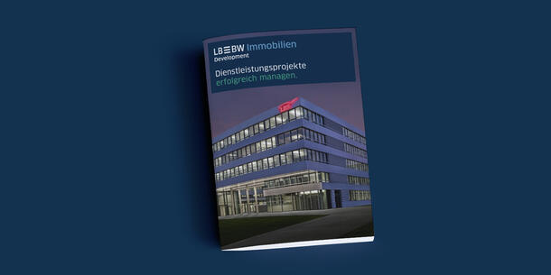 Development - Dienstleistungsprojekte erfolgreich managen